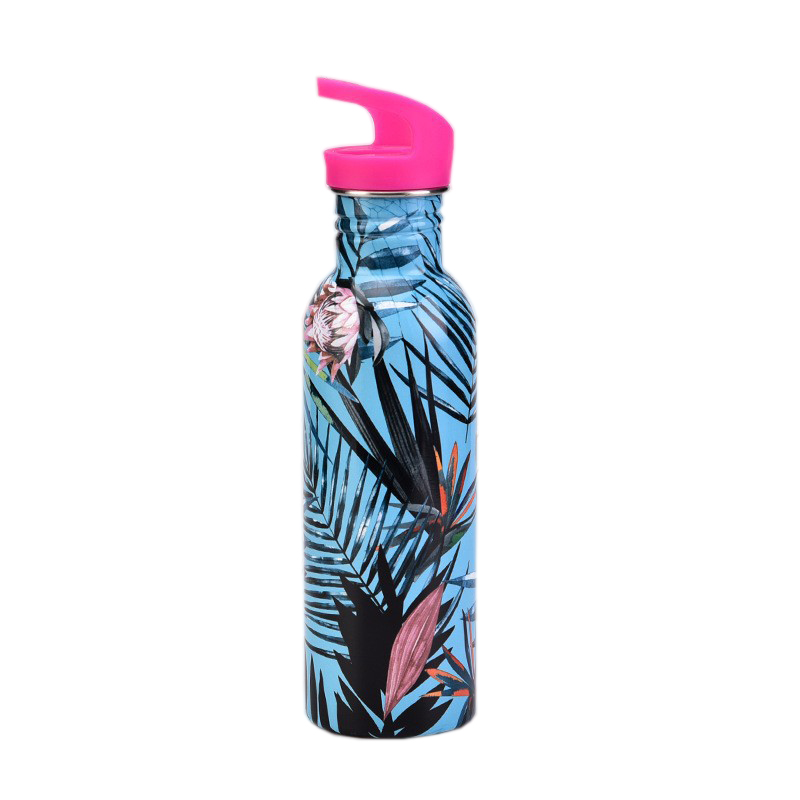 Thermos Flask ZF-C028