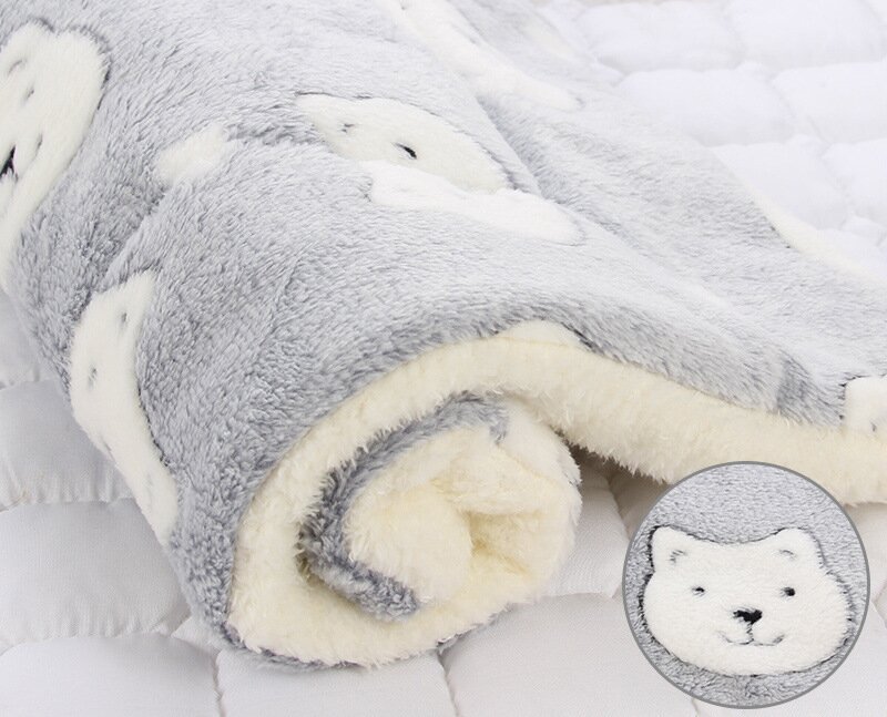 Pet Mat JT-PD003