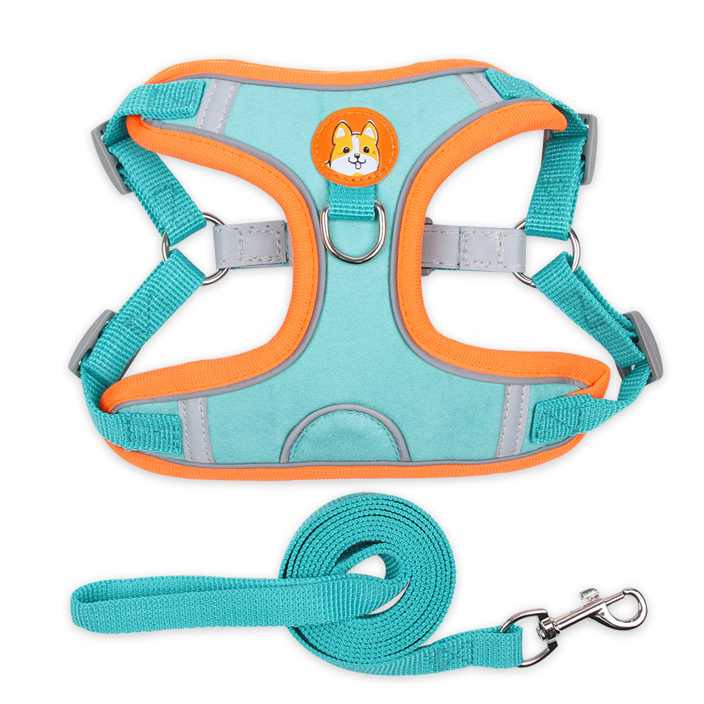 Pet Rope JT-PB001