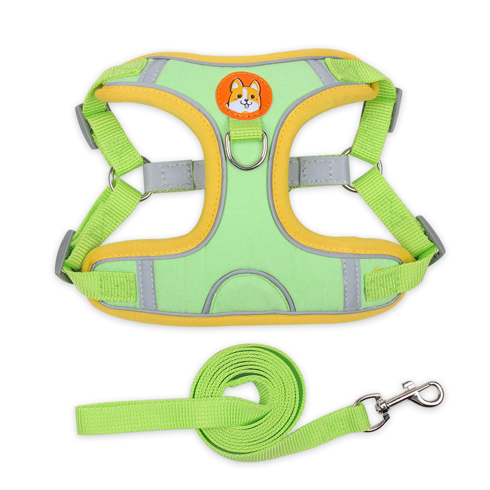 Pet Rope JT-PB001