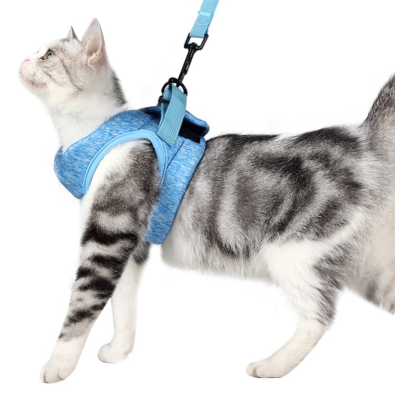 Pet Rope JT-PB010