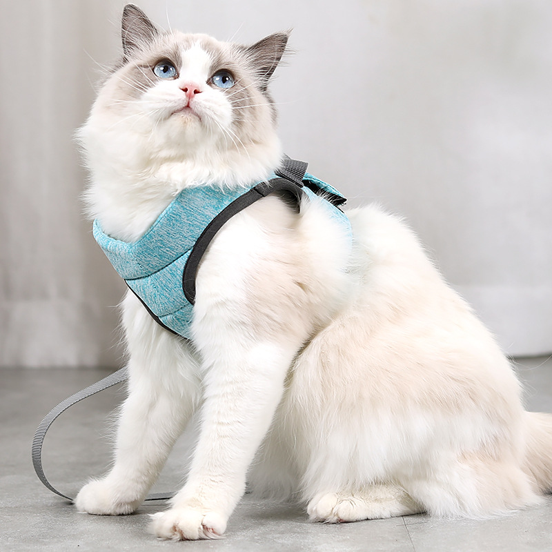 Pet Rope JT-PB010