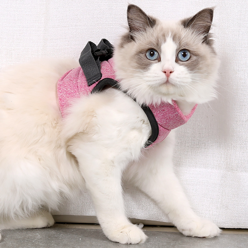 Pet Rope JT-PB010