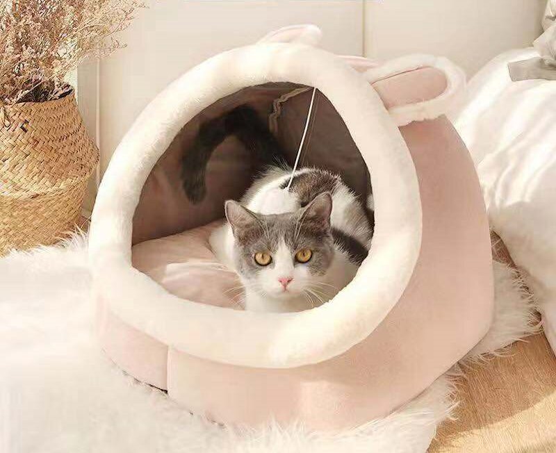 Pet Nest JT-PC010