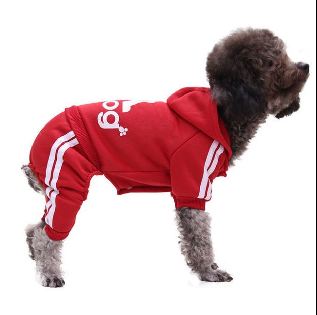 Pet Clothing JT-PE004
