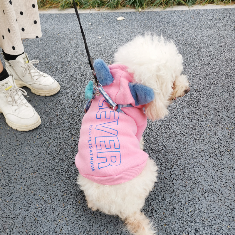 Pet Clothing JT-PE011